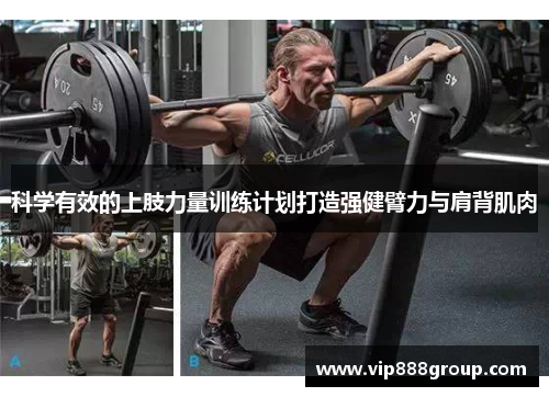 科学有效的上肢力量训练计划打造强健臂力与肩背肌肉