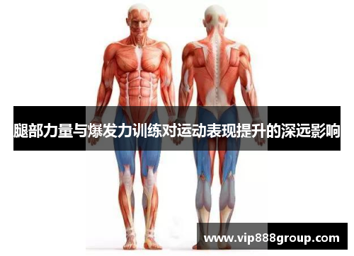 腿部力量与爆发力训练对运动表现提升的深远影响